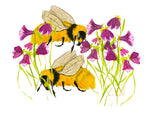 Bio diversity Great Yellow Bumblebee cards - pack of 4