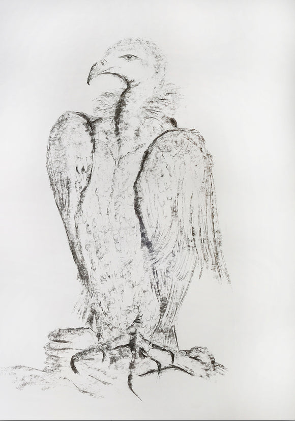 Original Charcoal Drawing - Eagle